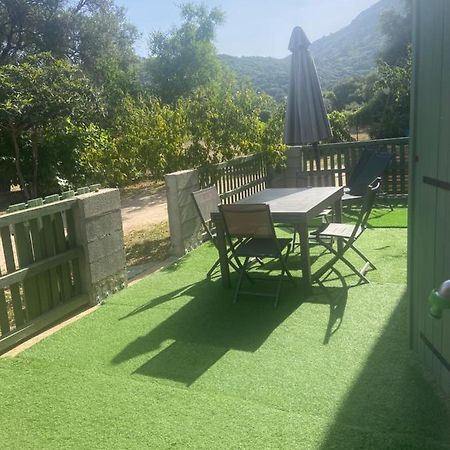 Appartement Proche Du Depart Du Gr20 Calenzana Zewnętrze zdjęcie