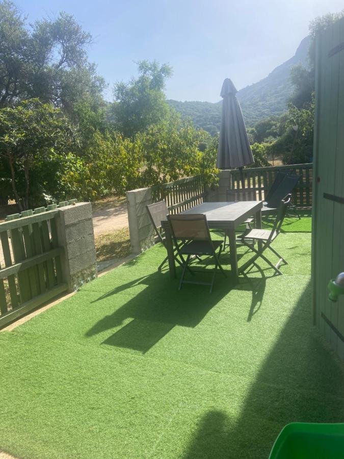 Appartement Proche Du Depart Du Gr20 Calenzana Zewnętrze zdjęcie